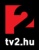 TV2 Logo